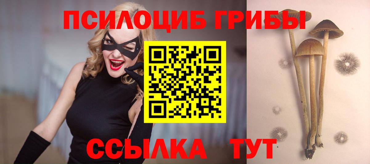 А ПВП Ишим